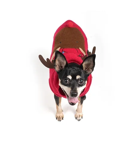 Rudy Reindeer Hoodie for Dogs